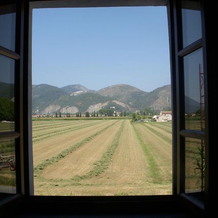 B&B Antica Dimora San Giuliano Terme Eksteriør billede