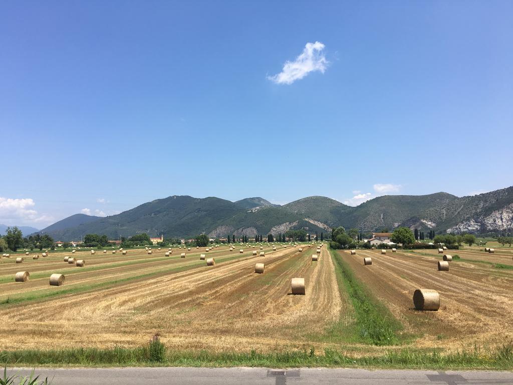 B&B Antica Dimora San Giuliano Terme Eksteriør billede